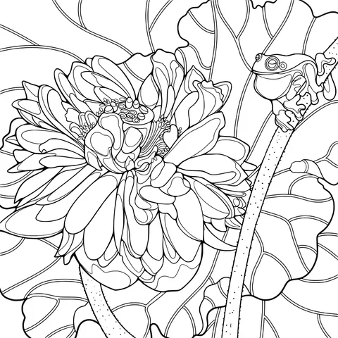 Lotus Flower and Frog