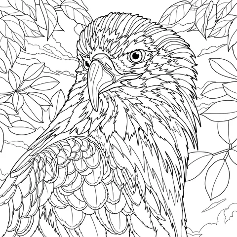 Bald Eagle