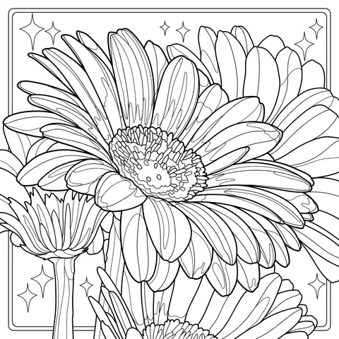 Vibrantly Blooming Gerbera Daisies
