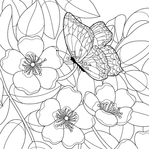 Butterfly among Flowers