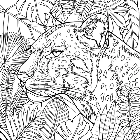 Leopard in the Jungle