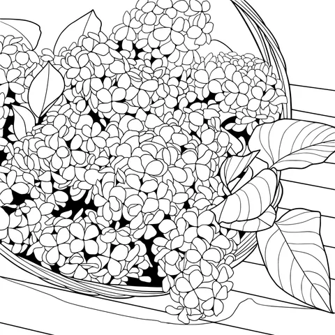 Hydrangeas in a Basket