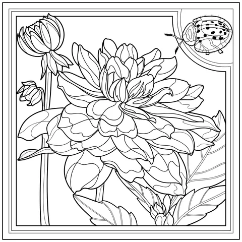 Colorful Dahlia and Ladybug