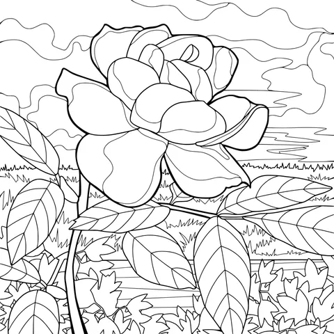 Charming Flower under the Setting - Sun