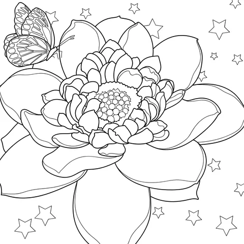 Butterfly and Blooming Flower