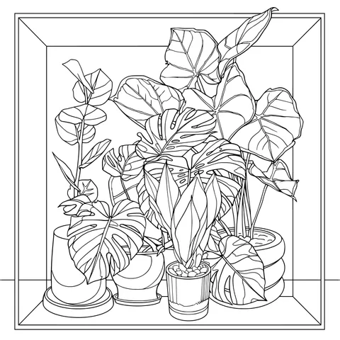 Potted plants by the window