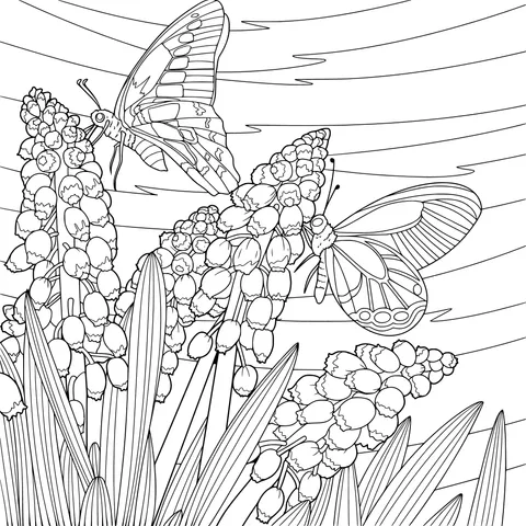 Butterflies and Grape Hyacinths