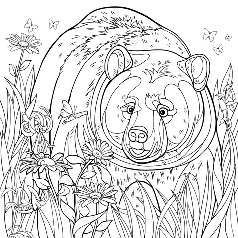 Brown Bear in the Flower - filled Area