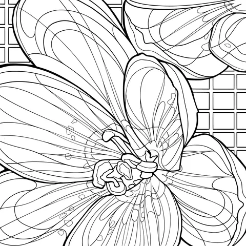 Purple Flower Illustration