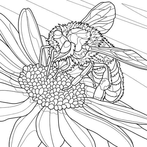 Honey - collecting Bee