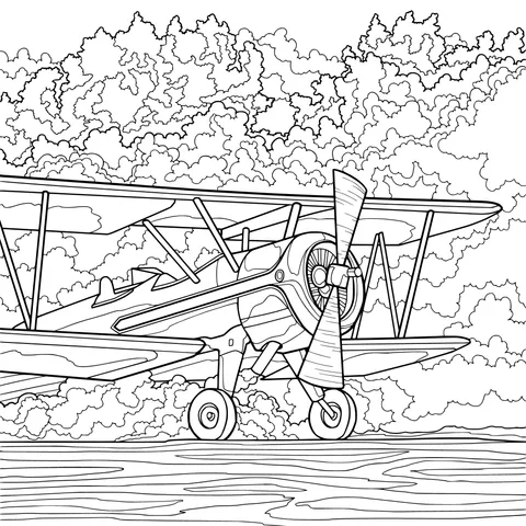 Vintage Bi - plane