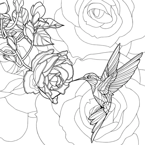 Hummingbird and Rose