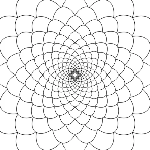 Colorful Concentric Petal Pattern