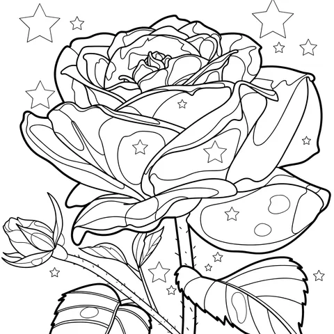 Rose under the Dreamy Starry Sky