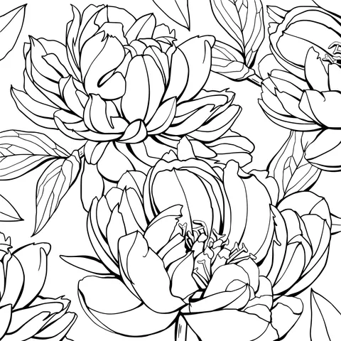 Colorful Floral Pattern