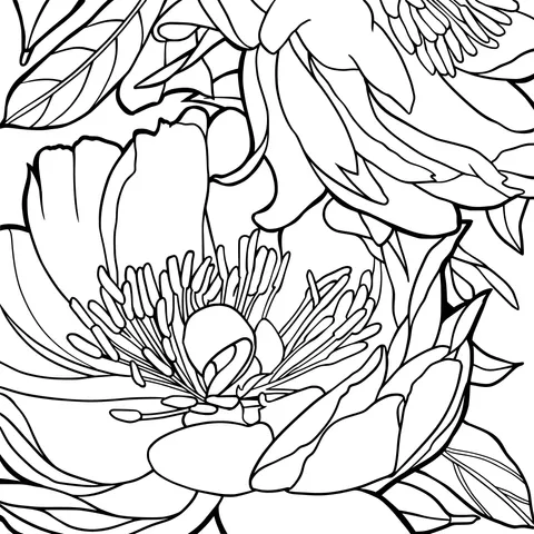 Gorgeous flower illustration