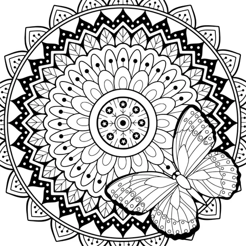 Colorful Mandala and Butterfly