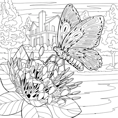 Butterfly by the Flower and Riverside Scenery