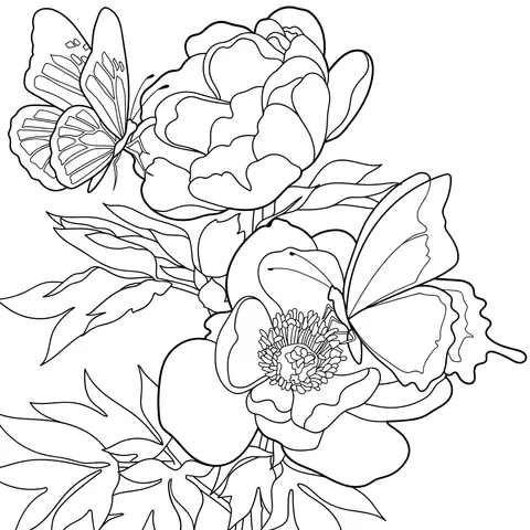 Butterflies and Peonies