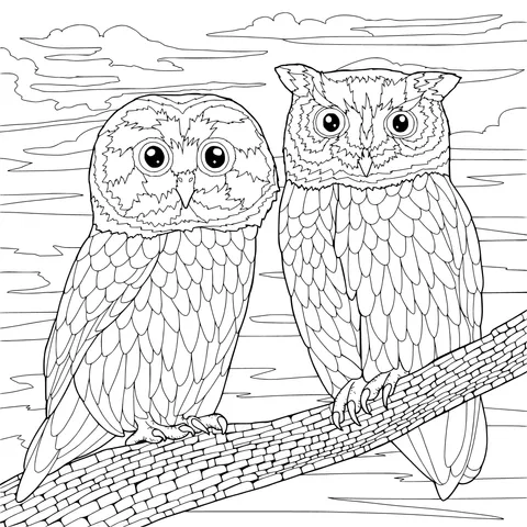 Two Owls on a Branch