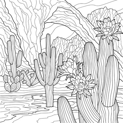 Paisagem de Cactos e Arco no Deserto