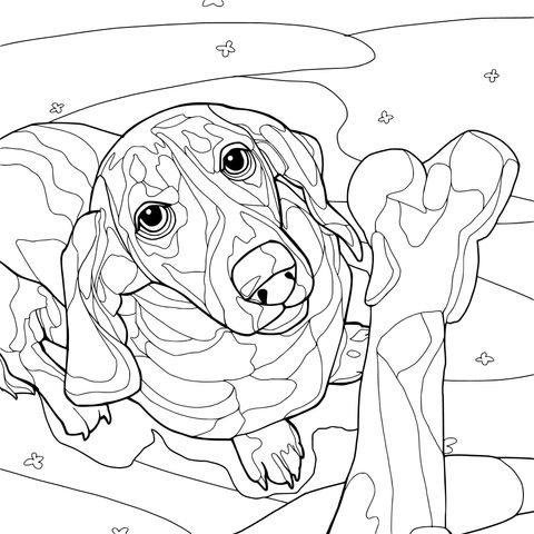 子犬と骨