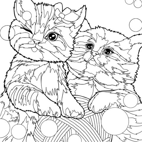Adorables Companheiros Felinos