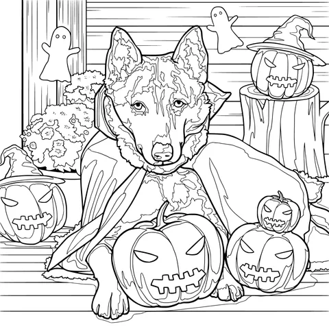 Dog in Halloween Costume