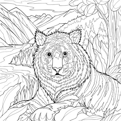Tiger in the Mountains and Forests