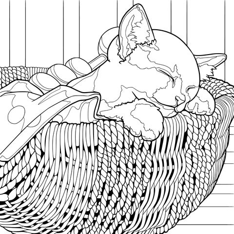 A sleeping kitten in a basket