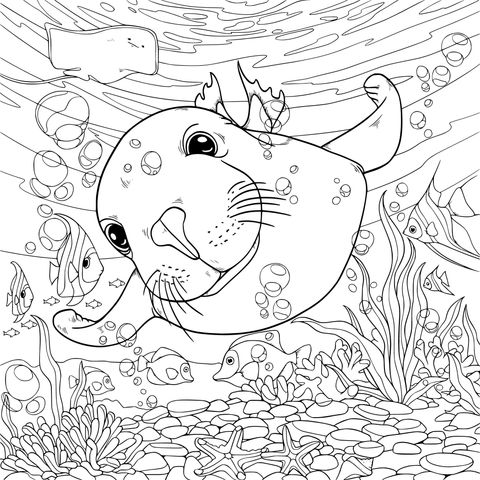 海で泳ぐアザラシ