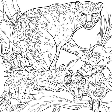 Mother leopard and cubs on a tree