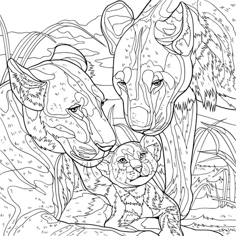 Lion Family