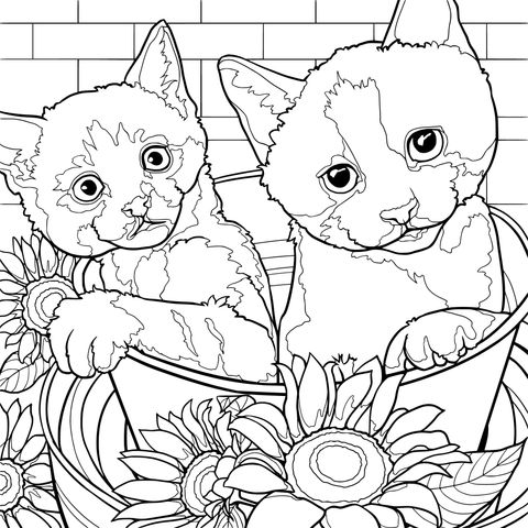 Two kittens in a pot
