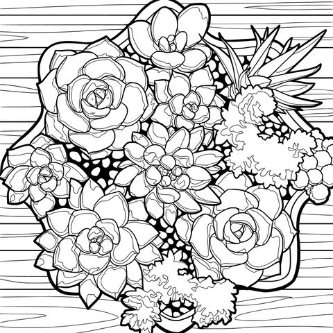 Succulent Potted Plants
