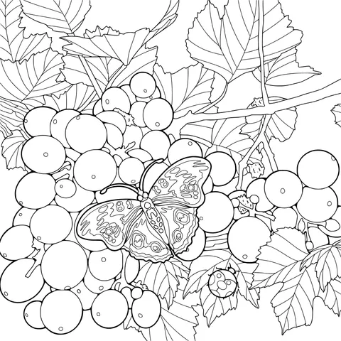 Butterfly and Berries