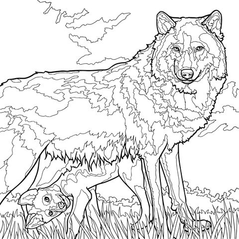 雌の狼と子狼