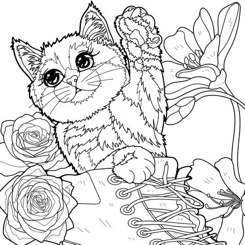 Cat with flowers and shoes