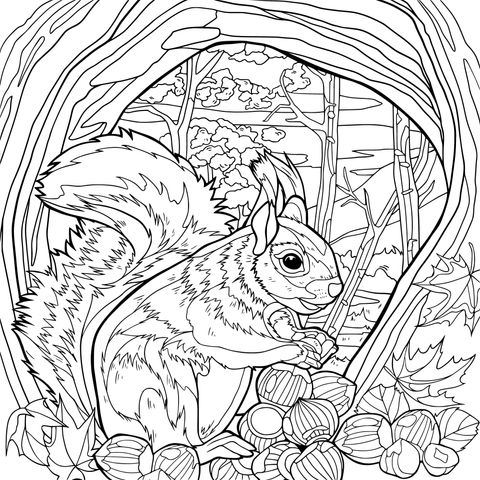  Ardilla y Nueces en el Hueco del Árbol