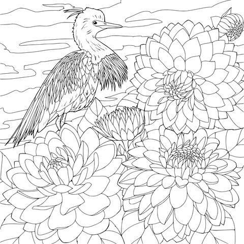 Purple Heron and Beautiful Flowers