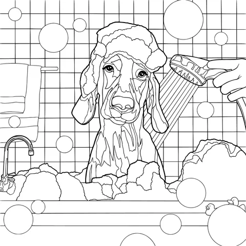 Happy Bath Time for the Dog