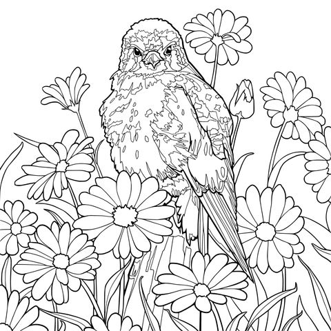花の中の小鳥