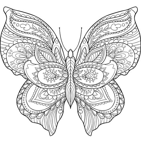 Mariposa Colorida