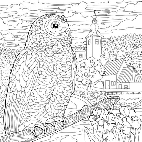 An Owl Perched by the River