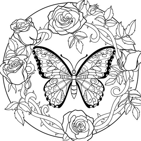 Mariposa rodeada de rosas