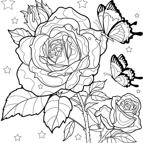 Roses and Butterflies