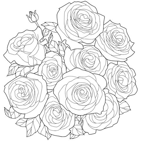 Rosas Coloridas