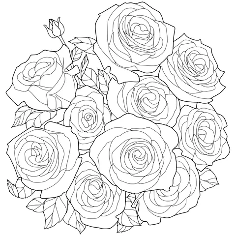 Colorful Roses
