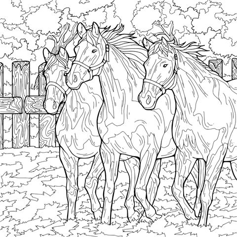 Three Horses in an Autumn Pasture