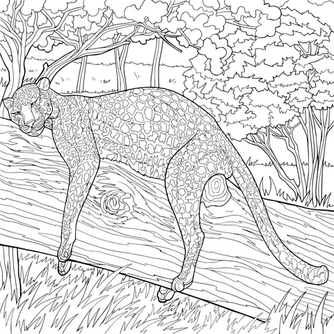 Cheetah Resting on a Log